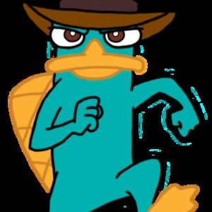 Meet your Posher, Huiwen